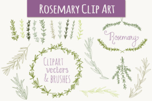 Evaluating the Rosemary Set for Botanical Design Projects