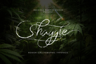 Unlocking the Art of Hand-Brushed Typography: A Deep Dive into Shaggie